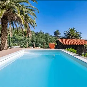Palmeras , Temisas España